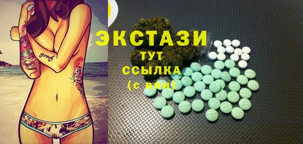гашик Мегион