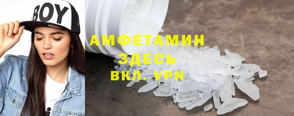 индика Аркадак