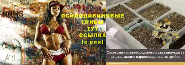 МДПВ Армянск