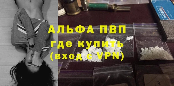 индика Аркадак