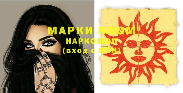 индика Аркадак